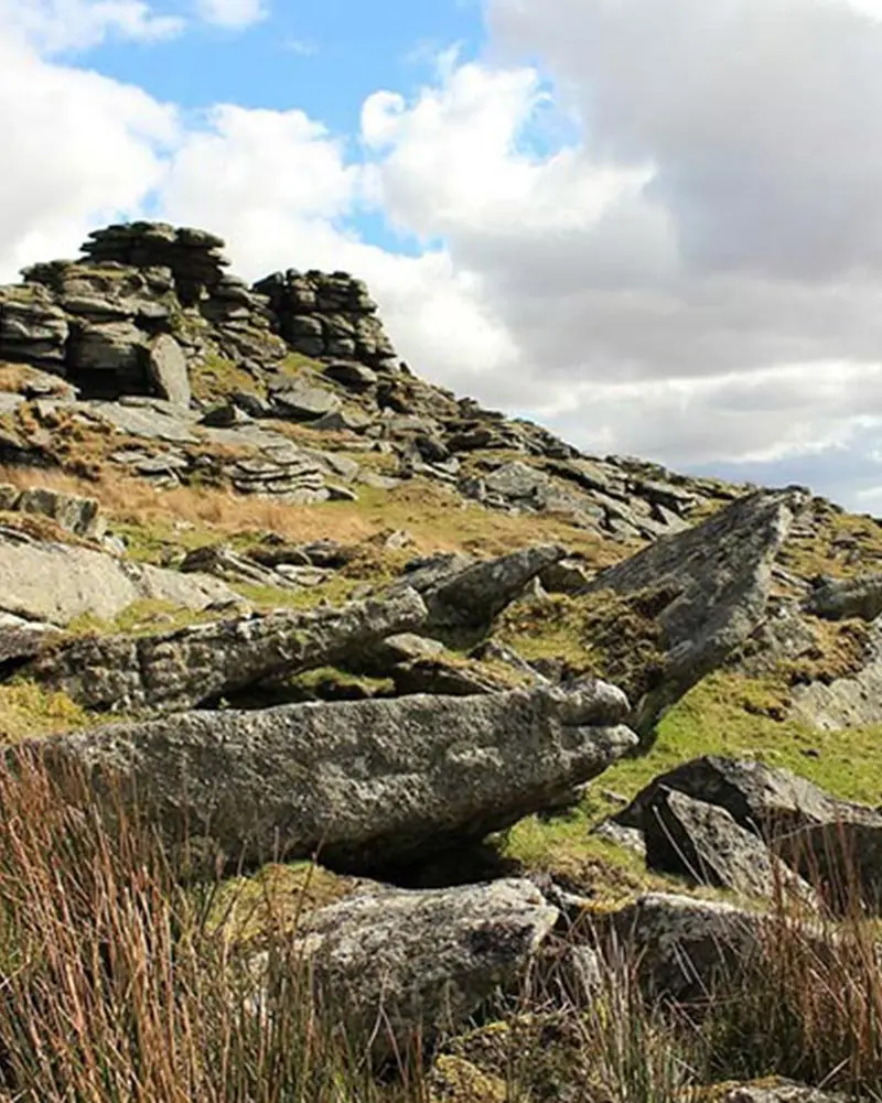 Meet-the-Team-Diana-Crabtree---Dartmoor---Web-Design-and-SEO-Company-Limited