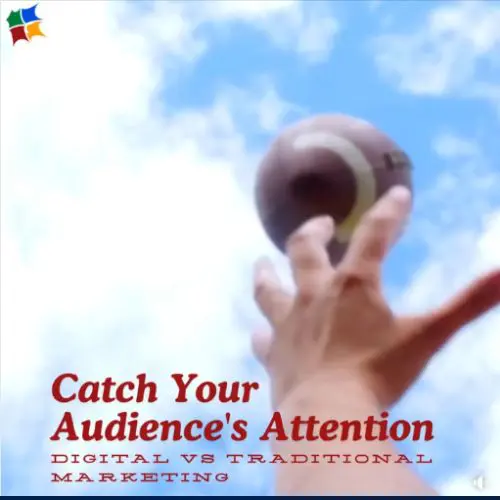 October 2024 Round Up - Catch Your Audience Attention - The Web Design and SEO Company Limited
