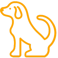 Dog - Web Design and SEO Company Limited