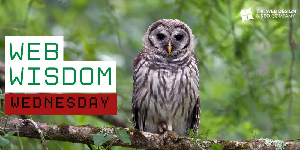 April 2025 Round Up - Web Wisdom Wednesday - Web Design and SEO Company Limited