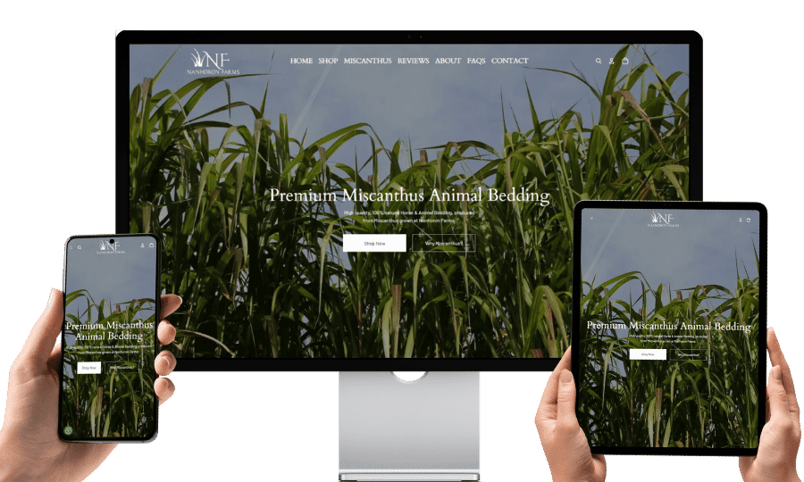 Gallery - Nanhoron - Web Design and SEO Company Limited
