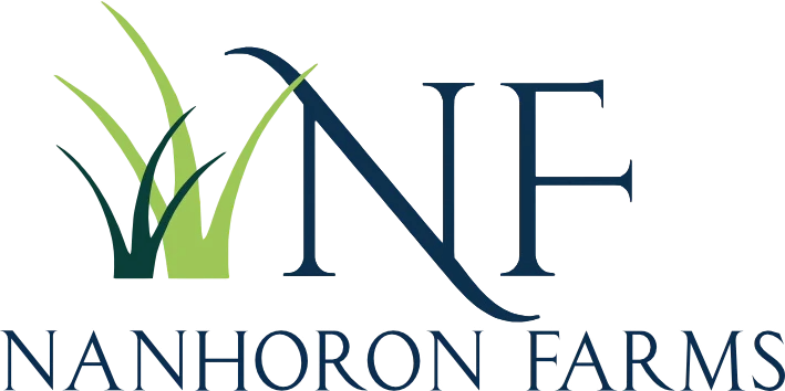 SEO Services-Nanhoron Farm SEO Services-Web Design and-SEO-Company-Limited.jpg
