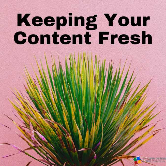 January 2024 Round Up - New Content - Web Design and SEO Company Limited