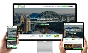 Web Design and SEO - Excel - Web Design and SEO Company Limited.jpg